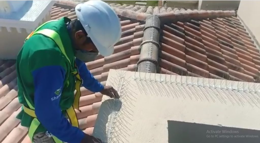 Best Bird Control Company in Dubai