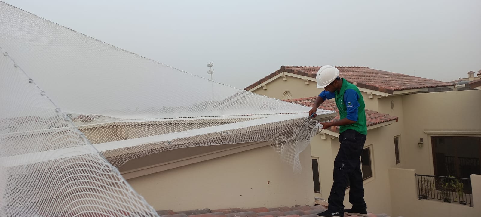 Best Bird Control Company in Dubai
