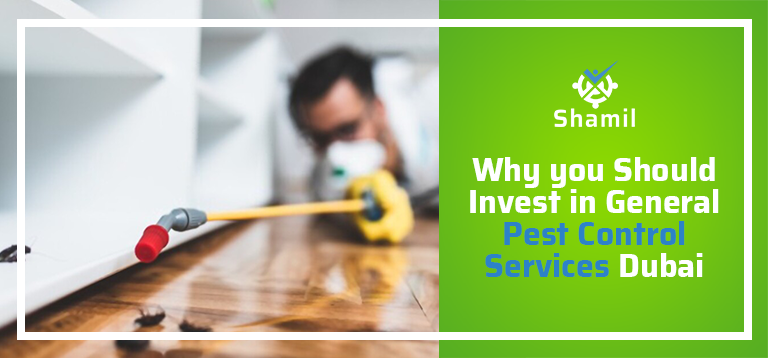 Why you Should Invest in General Pest Control Services Dubai