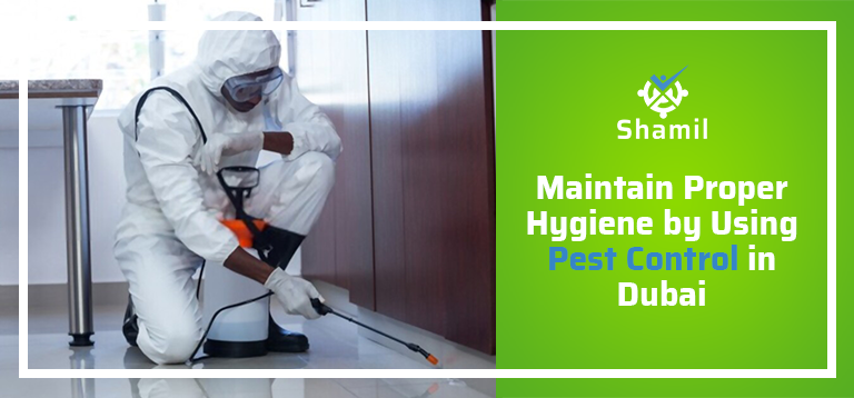 Maintain Proper Hygiene By Using Pest Control In Dubai