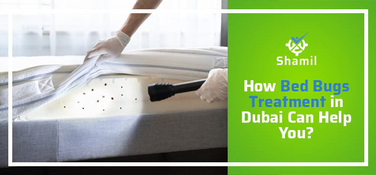 How Bed Bugs Treatment In Dubai Can Help You?