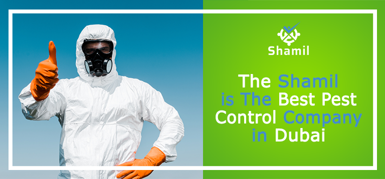 TheShamil is The Best Pest Control Company in Dubai