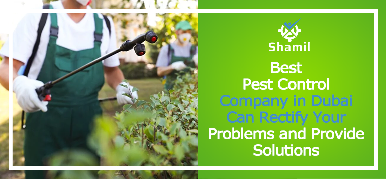 The Best Pest control company in Dubai can Rectify Your Problems and Provide Solutions