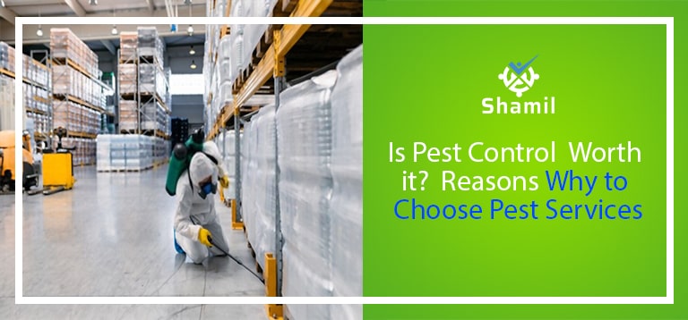 Is Pest Control Worth it? Reasons Why to Choose Pest Services