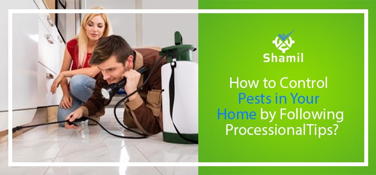 How to Control Pests in Your Home by Following Processional Tips?