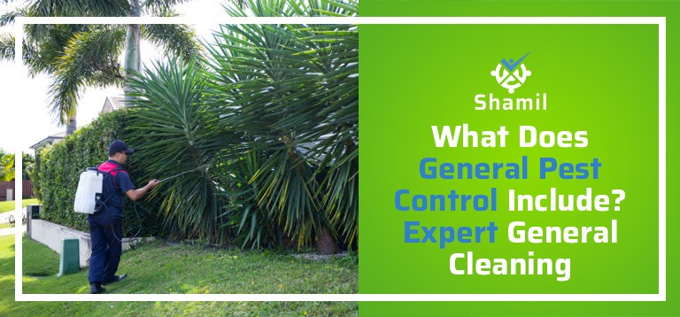<strong>What Does General Pest Control Include? Expert General Cleaning</strong>