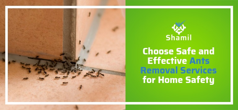 <strong>Choose Safe and Effective Ants Removal Services for Home Safety</strong>