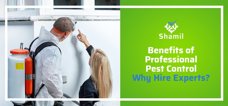 Benefits of Professional Pest Control – Why Hire Experts?