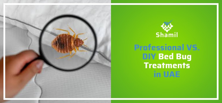 Bed Bug Treatments