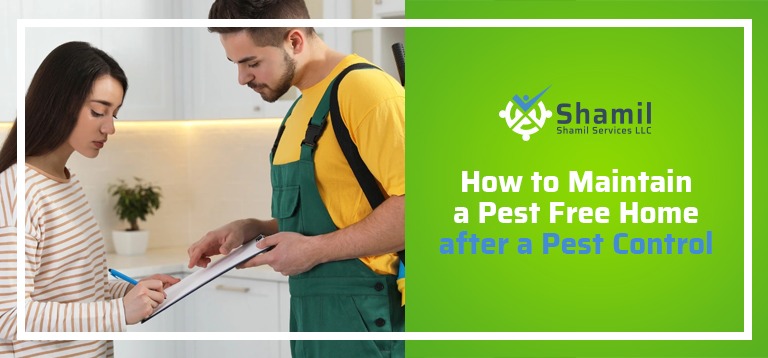 How to Maintain a Pest-Free Home After a Pest Control in UAE