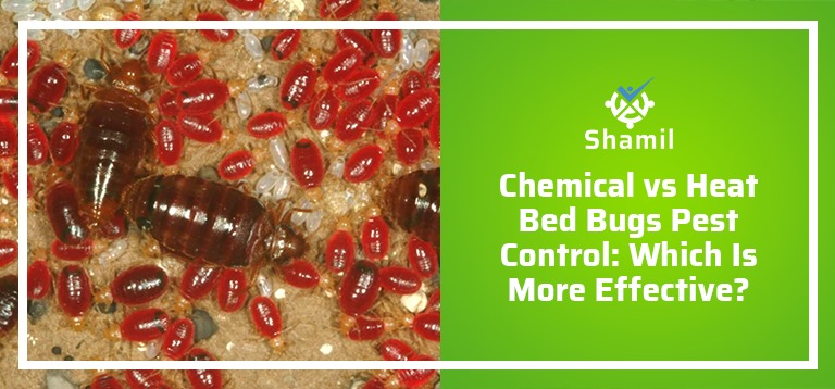 Chemical vs Heat Bed Bugs Pest Control: Which Is More Effective in the UAE?