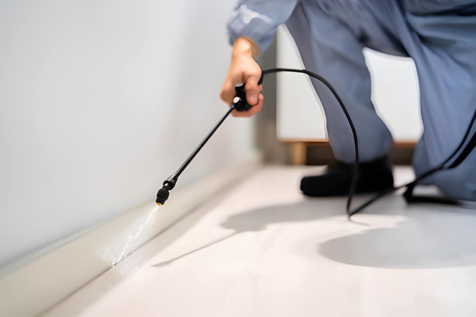 pest-control-dubai
