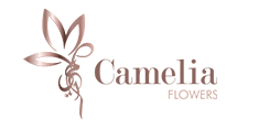 logo13